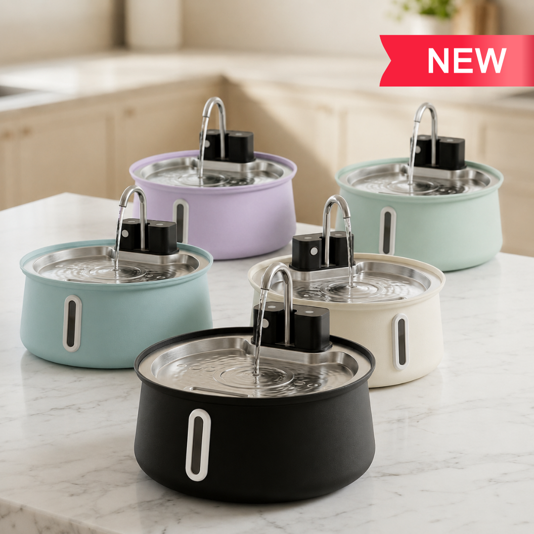 Wireless fountain 2.0 best seller
