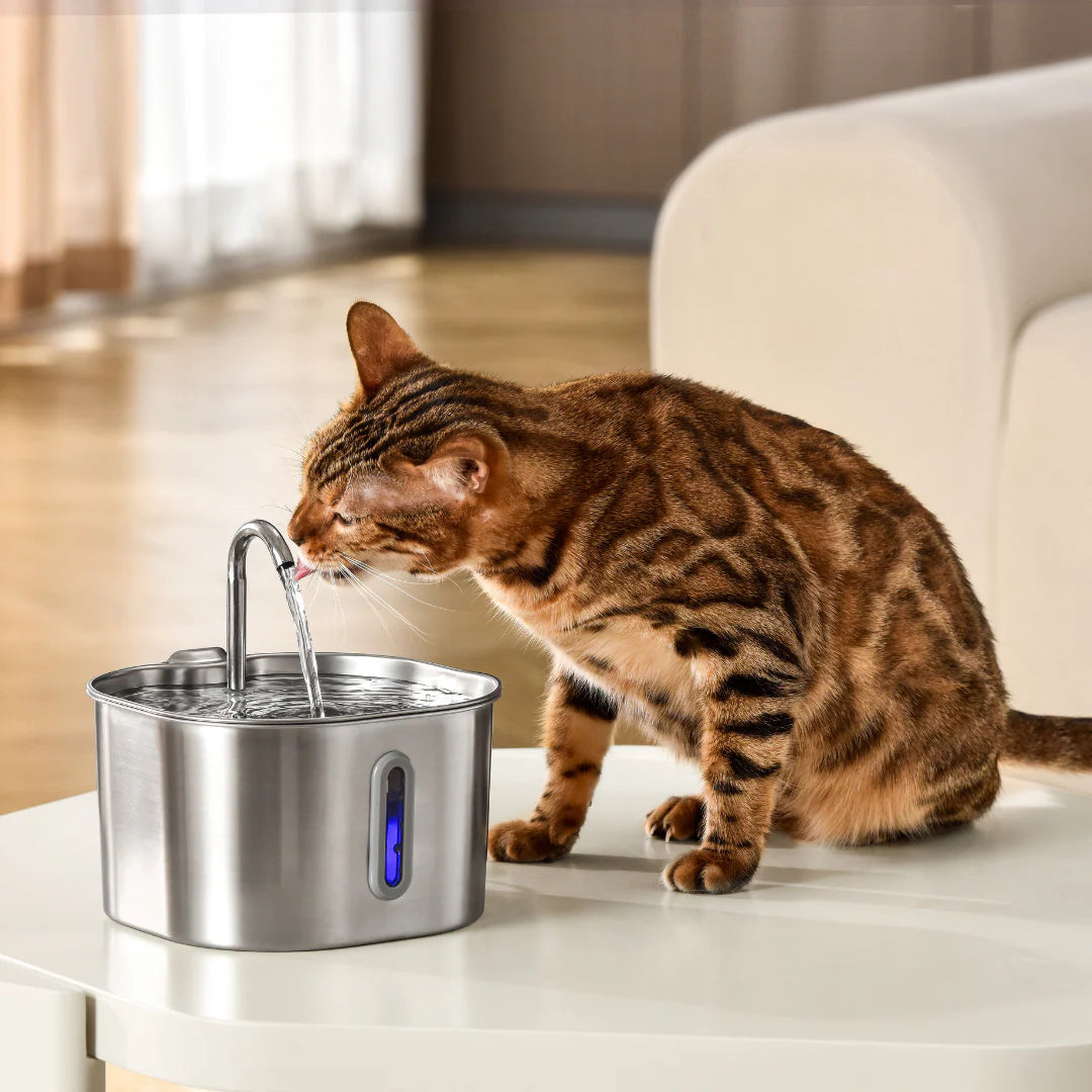 Health and happiness cat kit