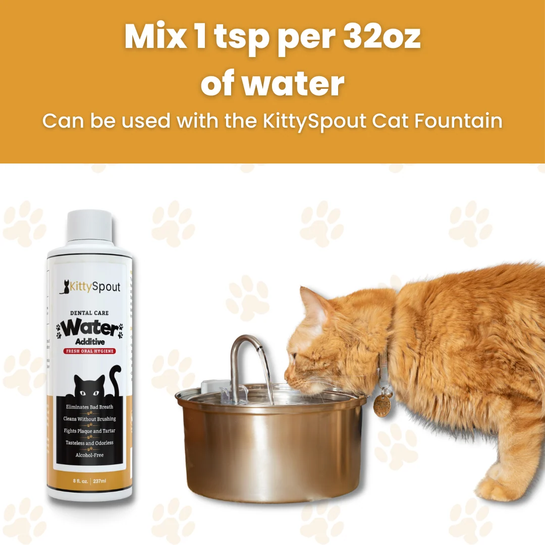 All In One Supplement Bundle with Cat Dental Formula and Bladder Chews