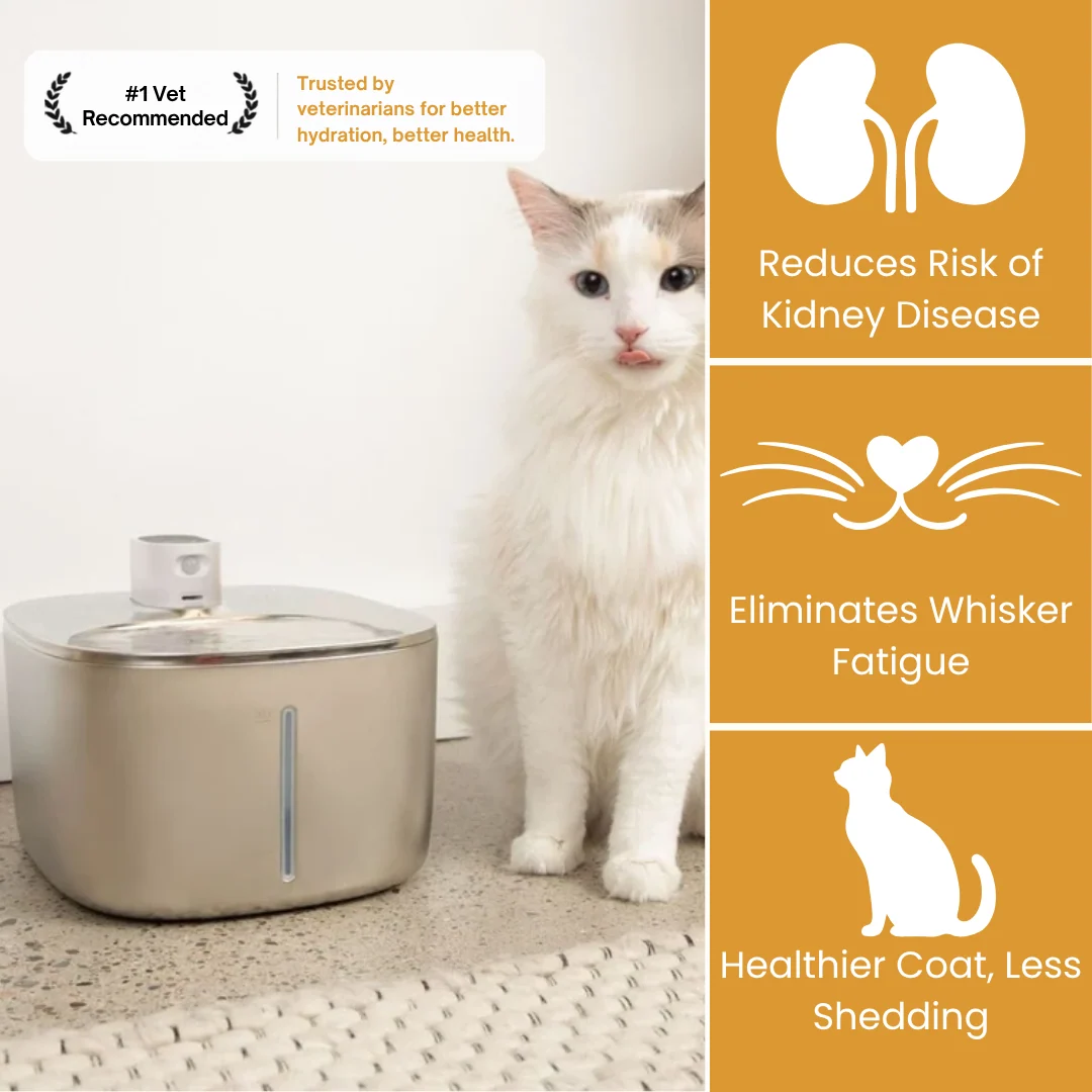 The KittySpout™ Wireless Fountain Original Model