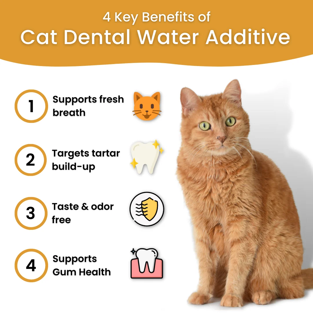 All In One Supplement Bundle with Cat Dental Formula and Bladder Chews