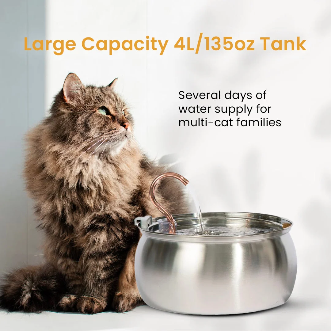 Purrrfect KittySpout Kit for Health and Happiness