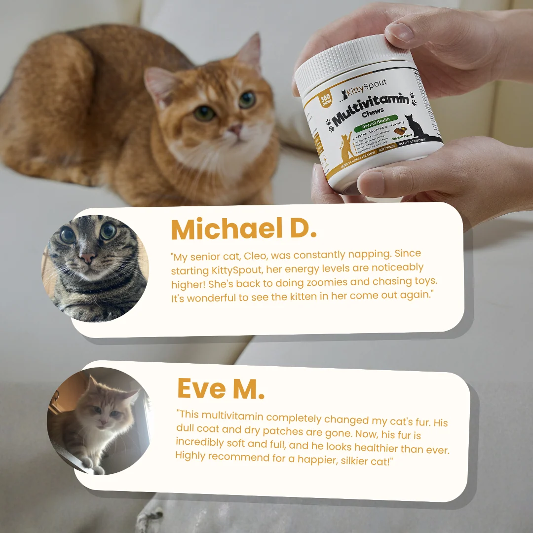 KittySpout Multivitamin Chews for Cats, Daily Treat Form
