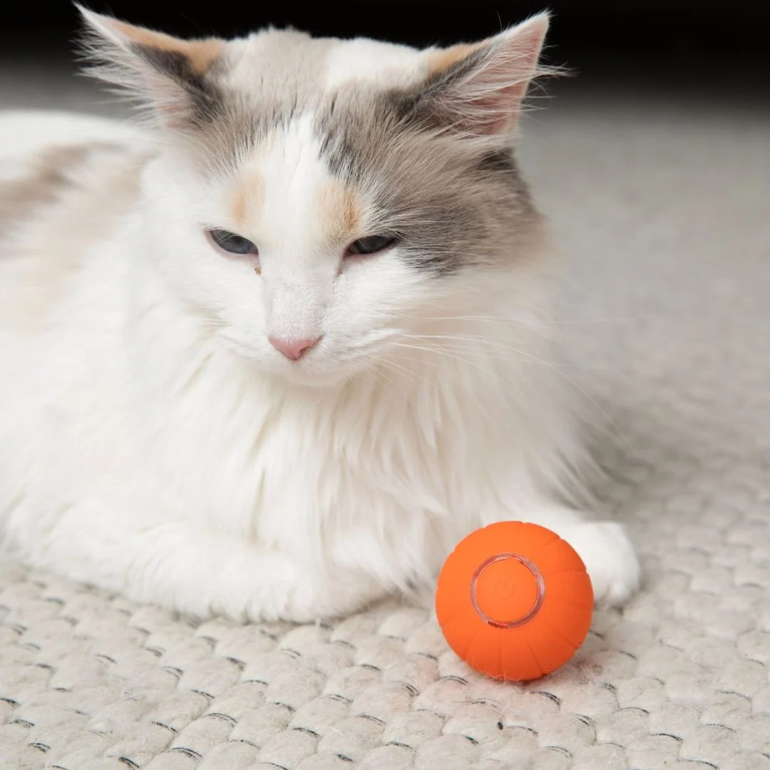 The KittyBall™ Smart Cat Ball for Playtime
