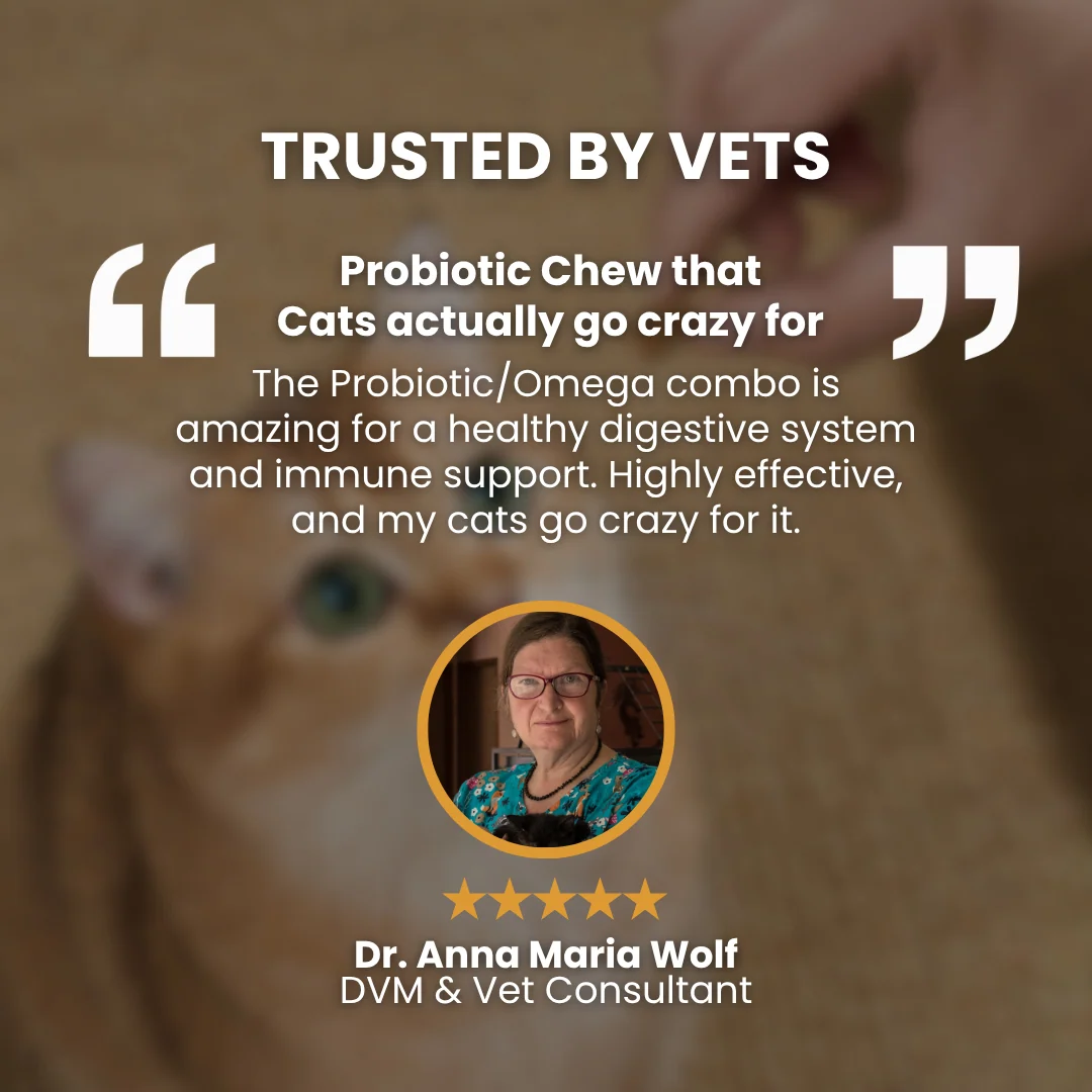Probiotic Chews for Cats in a Soft Treat Format