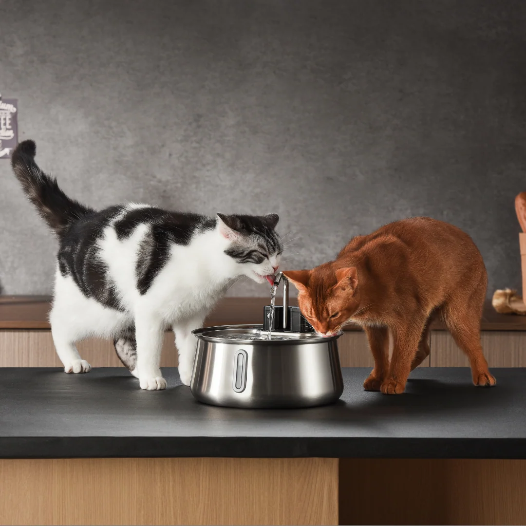 KittySpout Wireless Fountain 2.0 Kit for Happy Healthy Cats