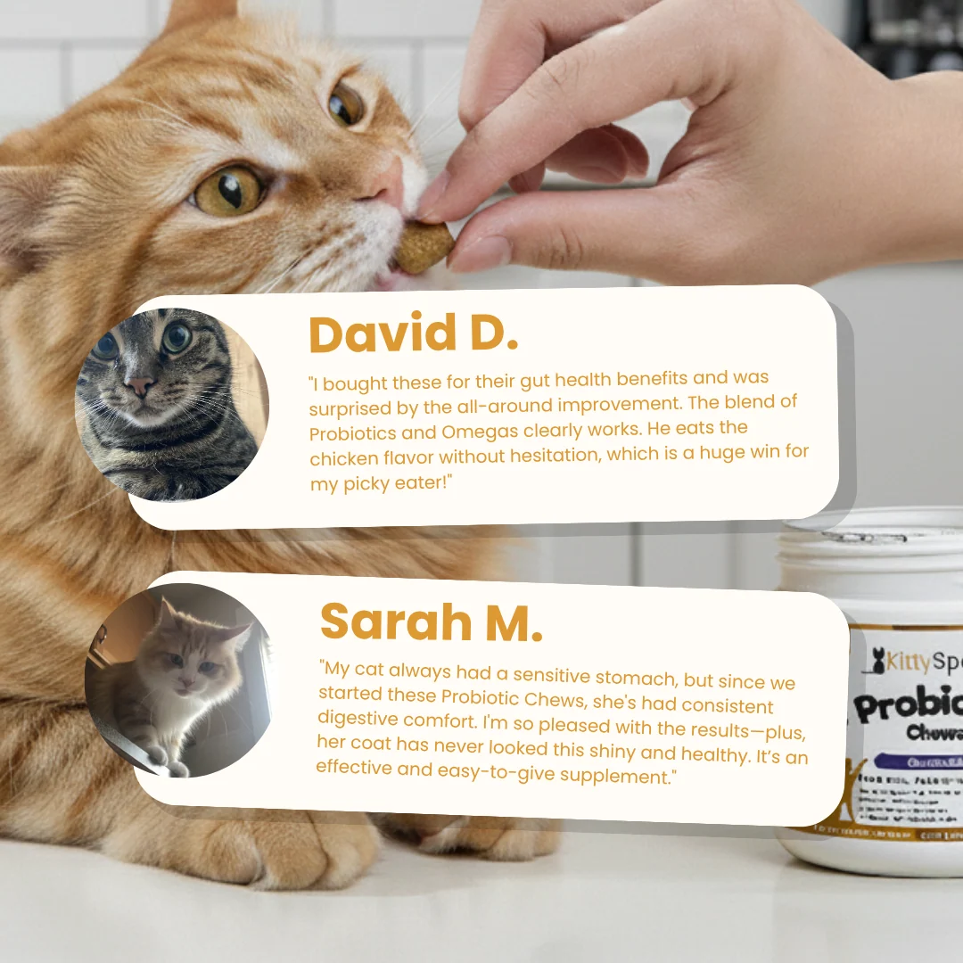 Probiotic Chews for Cats in a Soft Treat Format