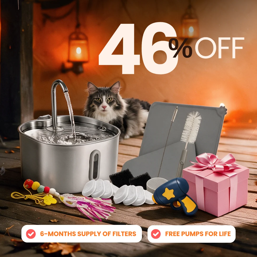 Purrrfect KittySpout Kit for Health and Happiness