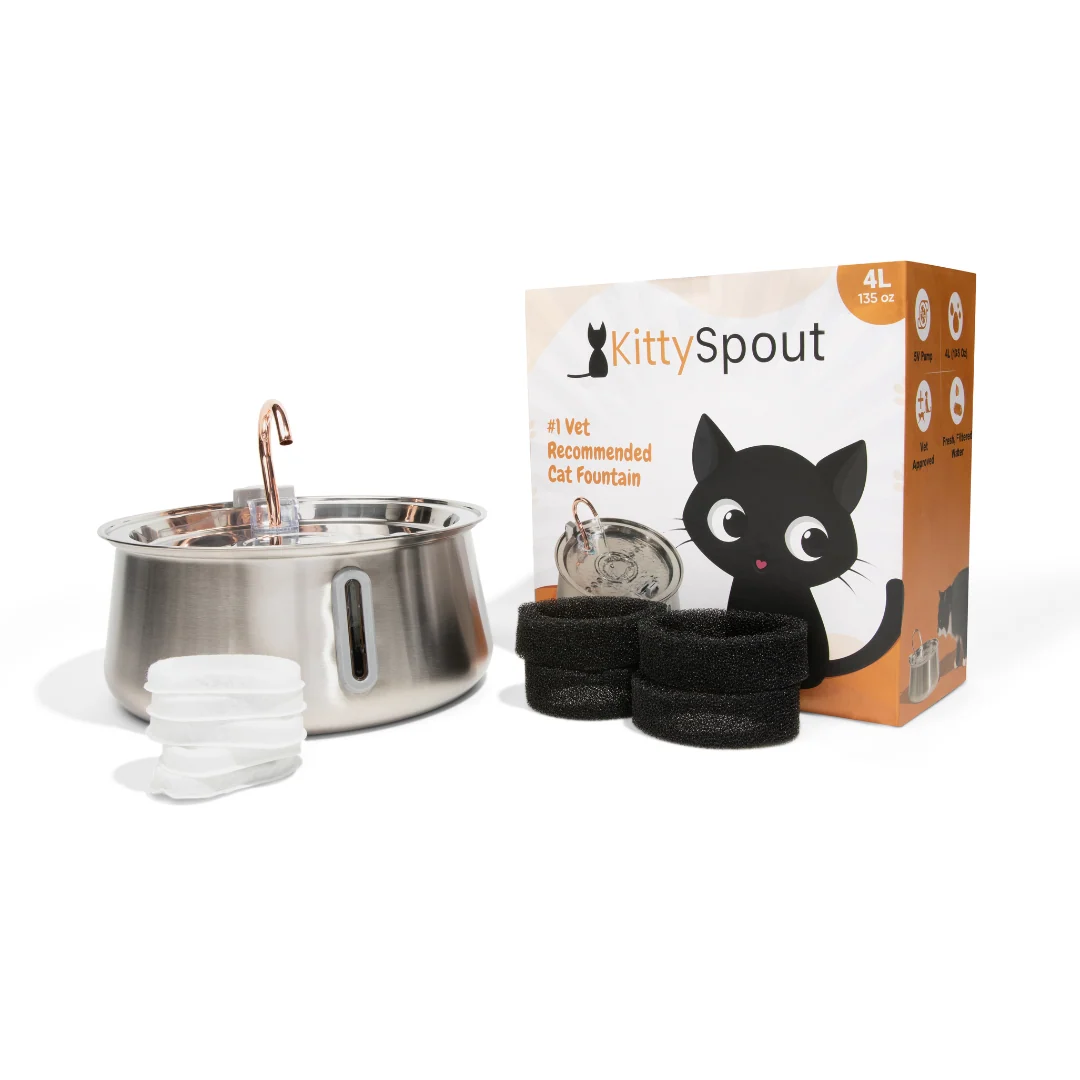 The KittySpout 2.0 Health & Happiness Cat Kit for Daily Care