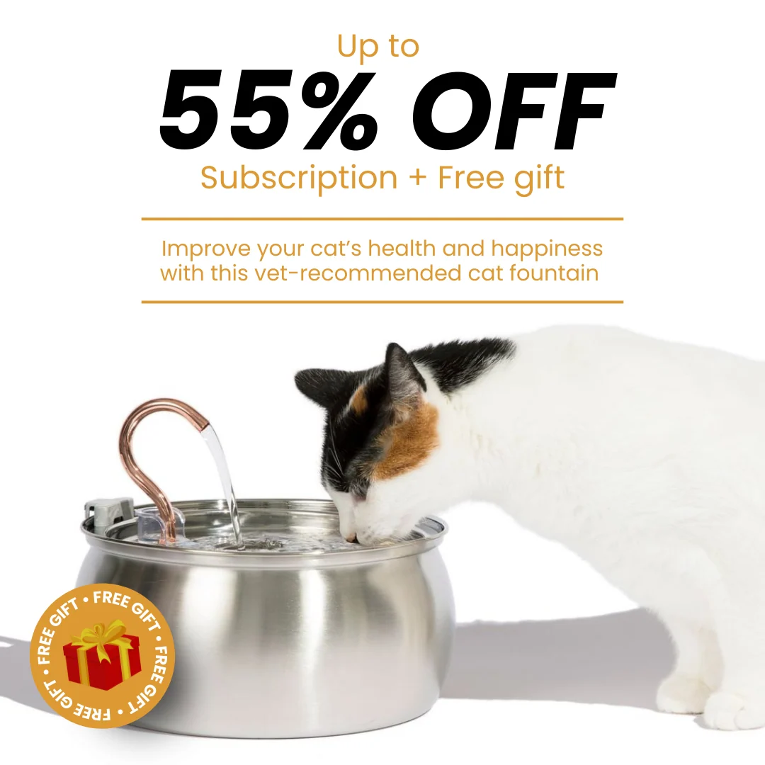The KittySpout™ - 4L Fountain