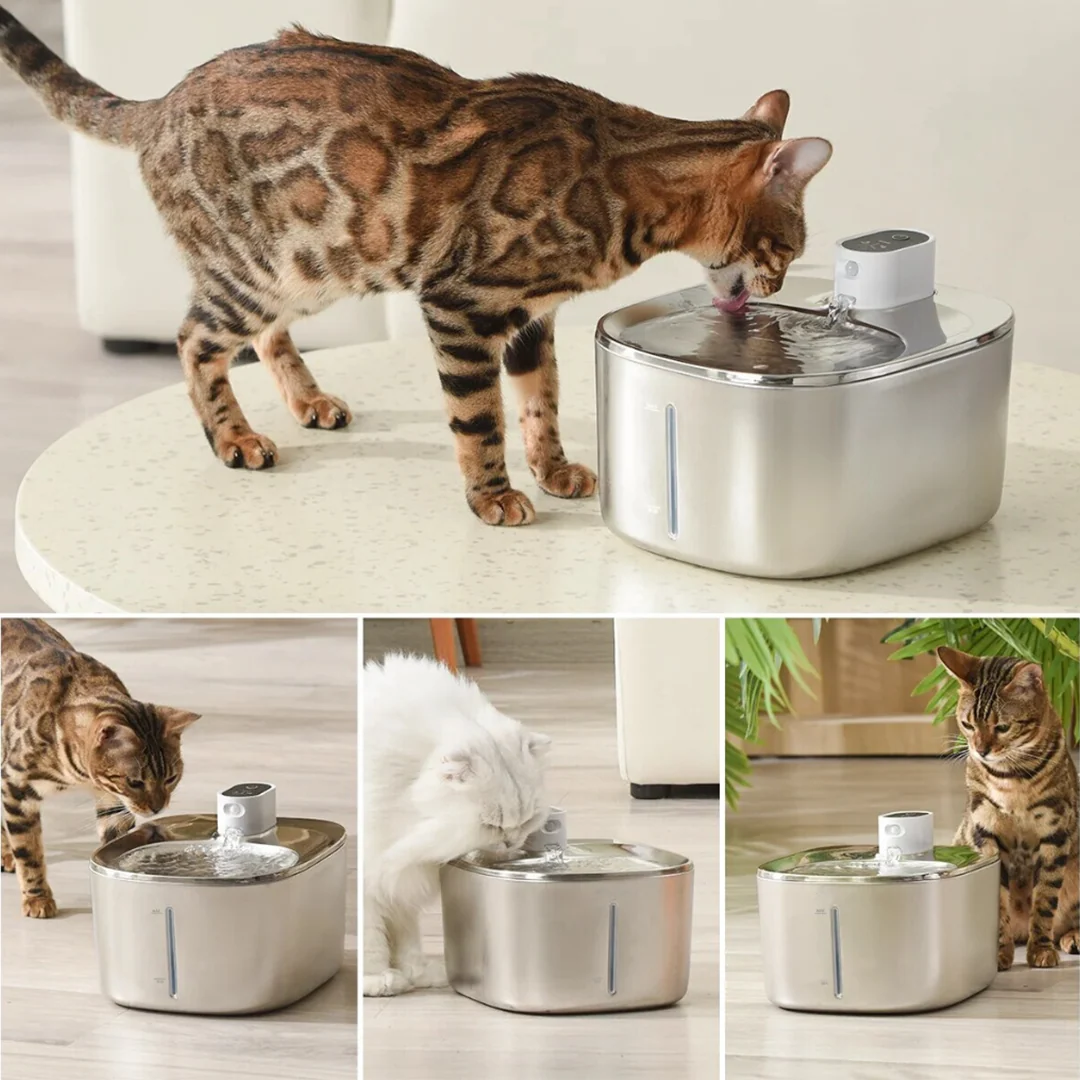 Filtri di ricambio wireless KittySpout con rimozione del 99% delle impurità