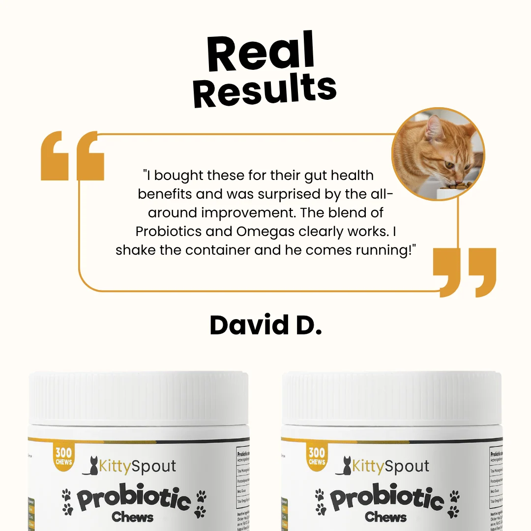 Probiotic Chews for Cats in a Soft Treat Format