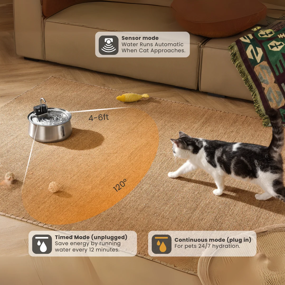 Purrrfect KittySpout Kit for Health and Happiness
