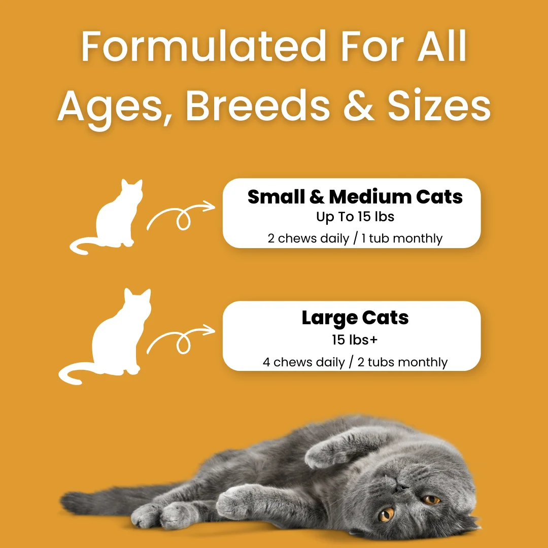 Bladder & Kidney Support Chews with Natural Ingredients for Cats