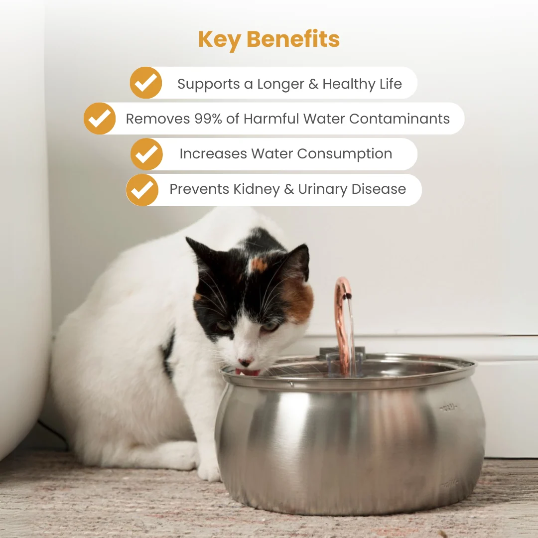 The KittySpout™ - 4L Fountain