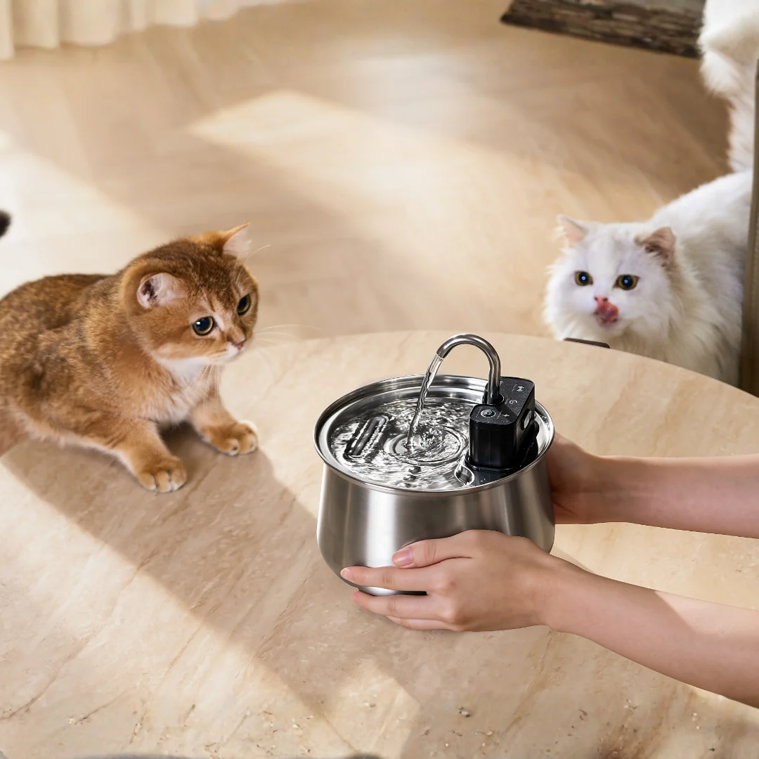 The KittySpout Luna Wireless Cat Fountain, Our Newest Fountain