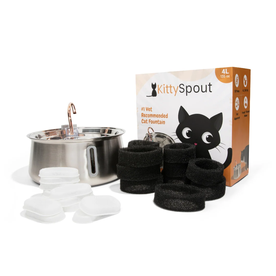 The KittySpout 2.0 Health & Happiness Cat Kit for Daily Care