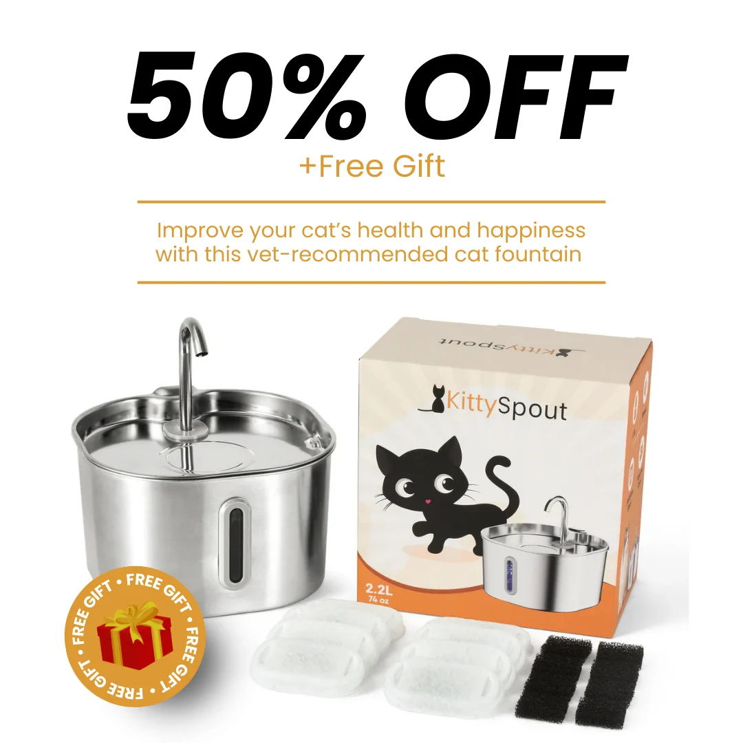KittySpout Health & Happiness Cat Kit Bundle