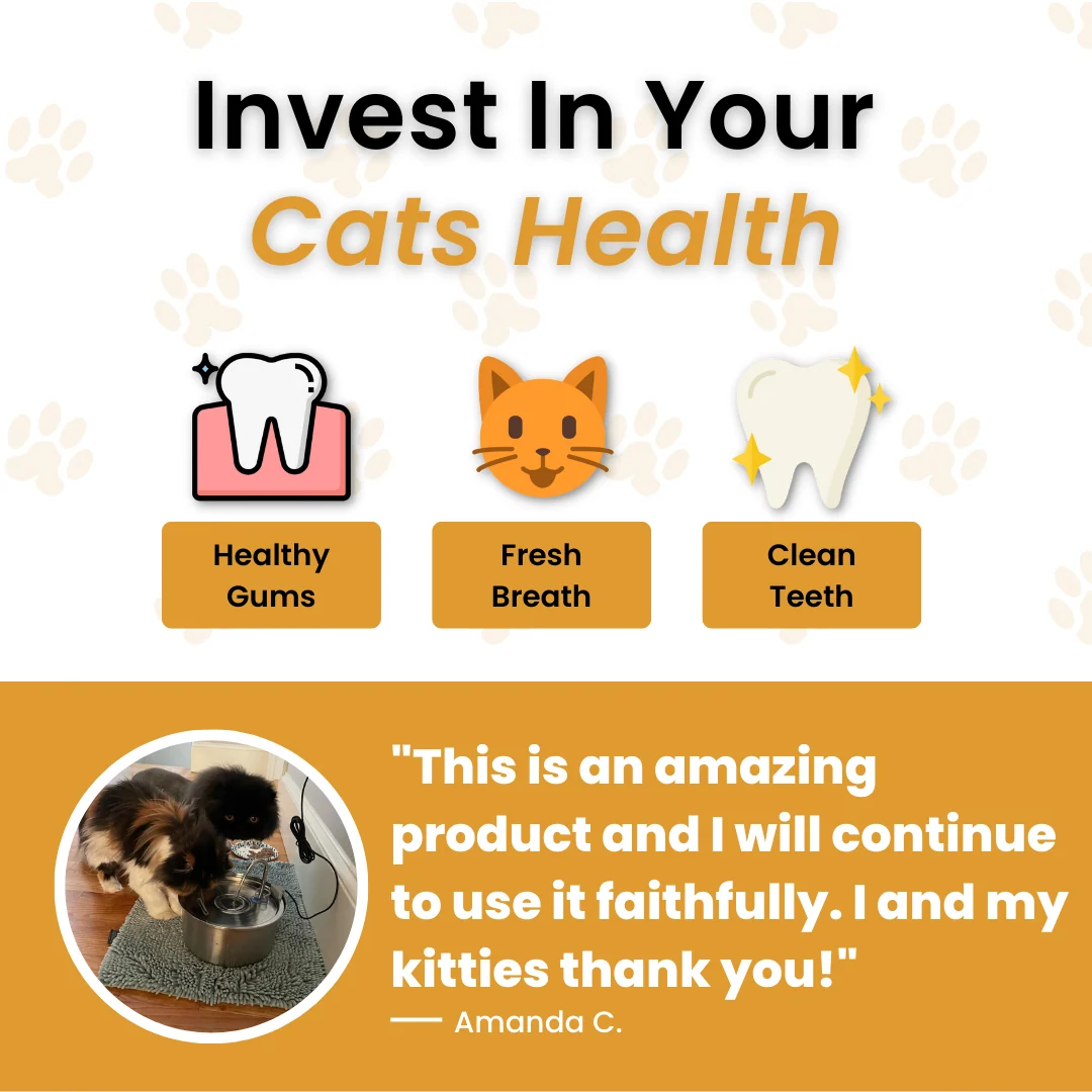 All In One Supplement Bundle with Cat Dental Formula and Bladder Chews