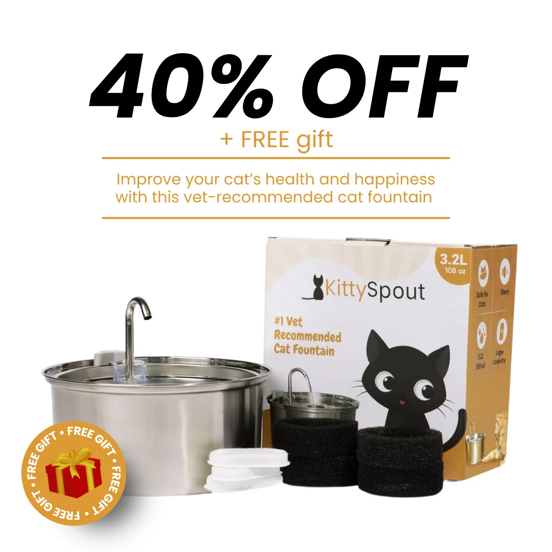 The KittySpout Health & Happiness Cat Kit Bundle for Happy Cats