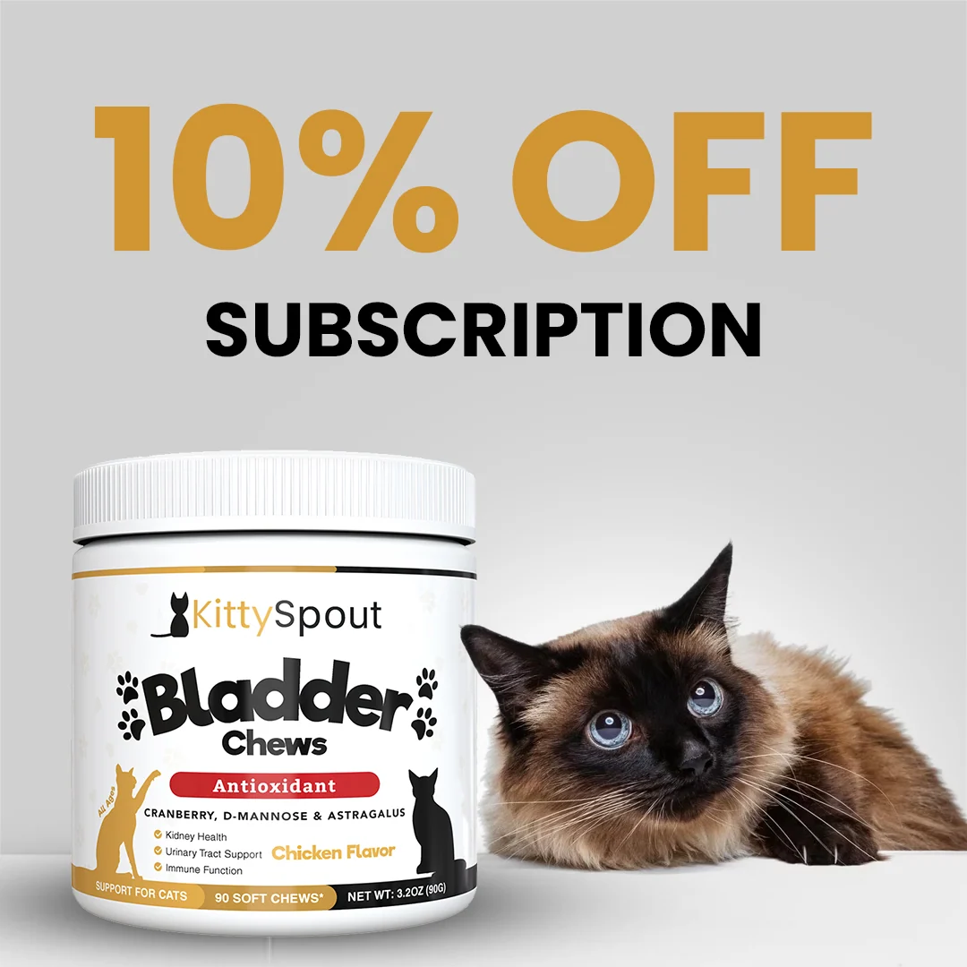 Bladder & Kidney Support Chews with Natural Ingredients for Cats