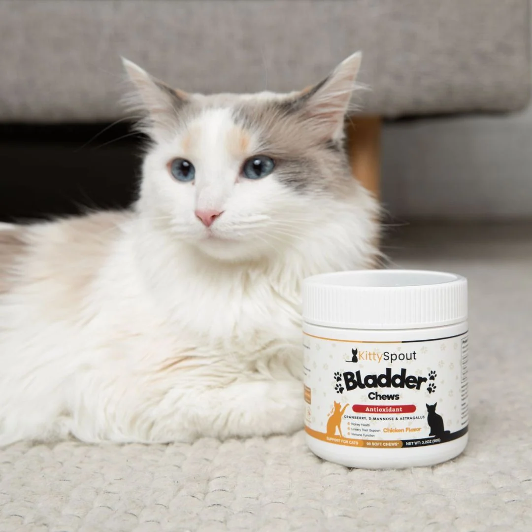 Bladder & Kidney Support Chews with Natural Ingredients for Cats