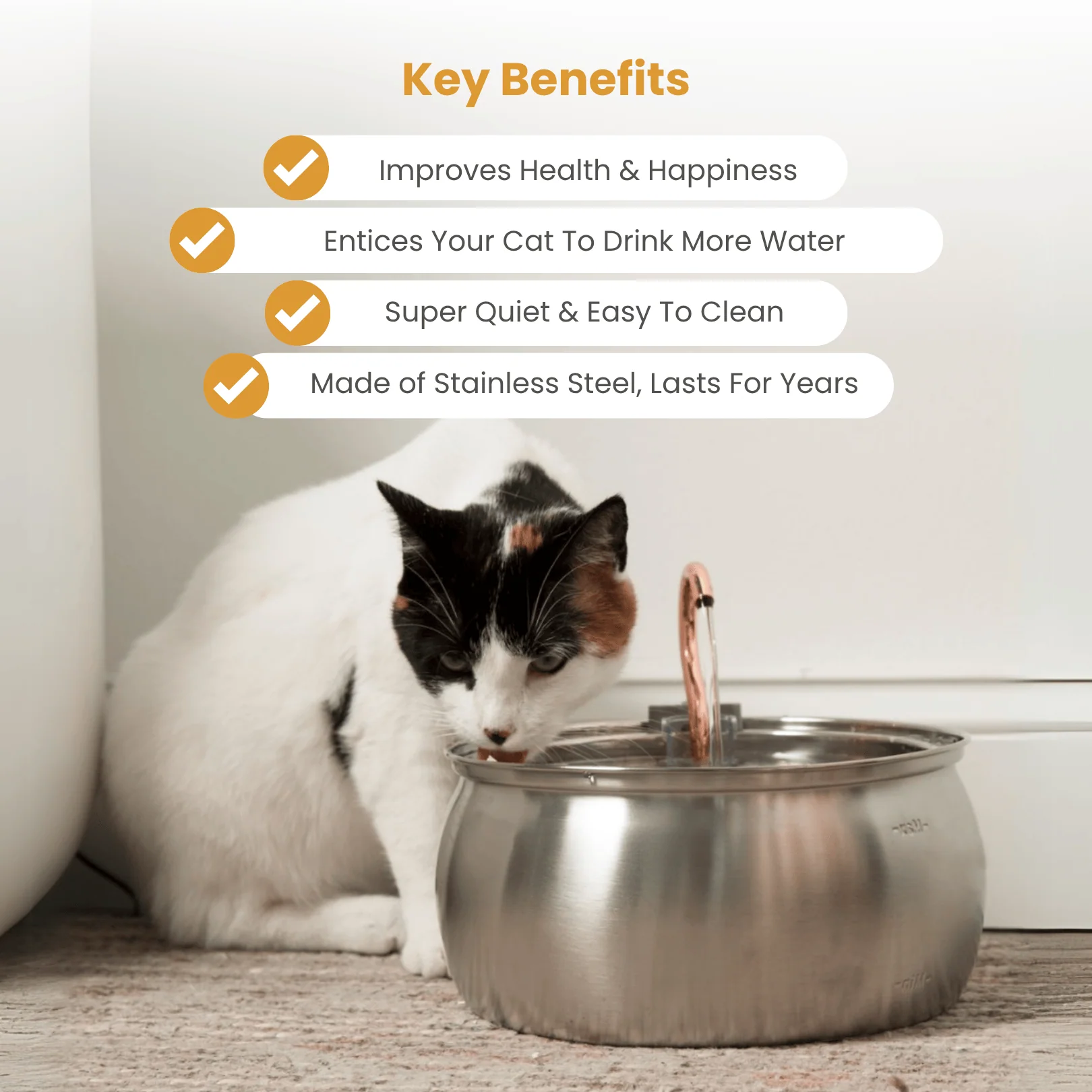 KittySpout Health & Happiness Cat Kit Bundle