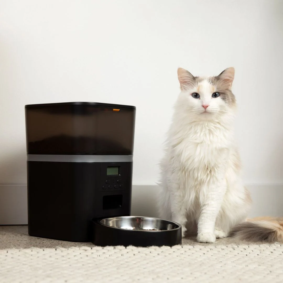 KittyFeeder™ automatisk kattefoderautomat til katte