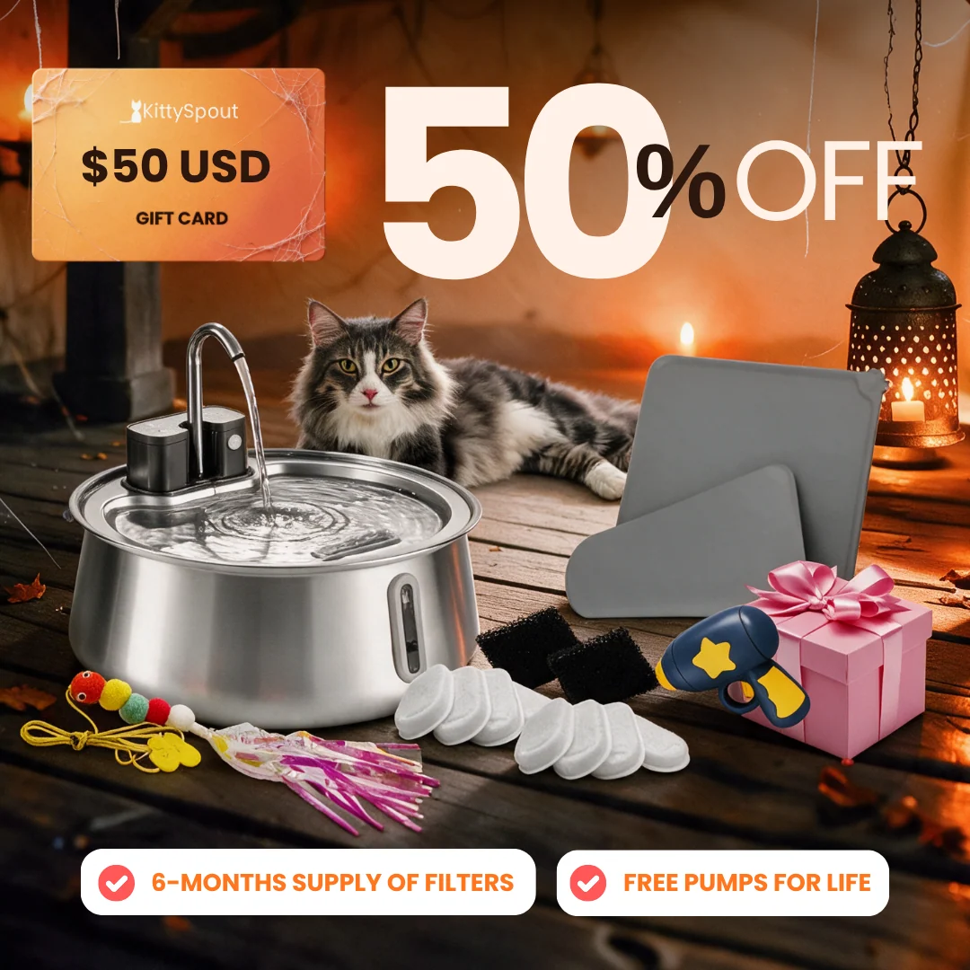 Bundle convenienza KittySpout: il nostro bundle per gatti più conveniente
