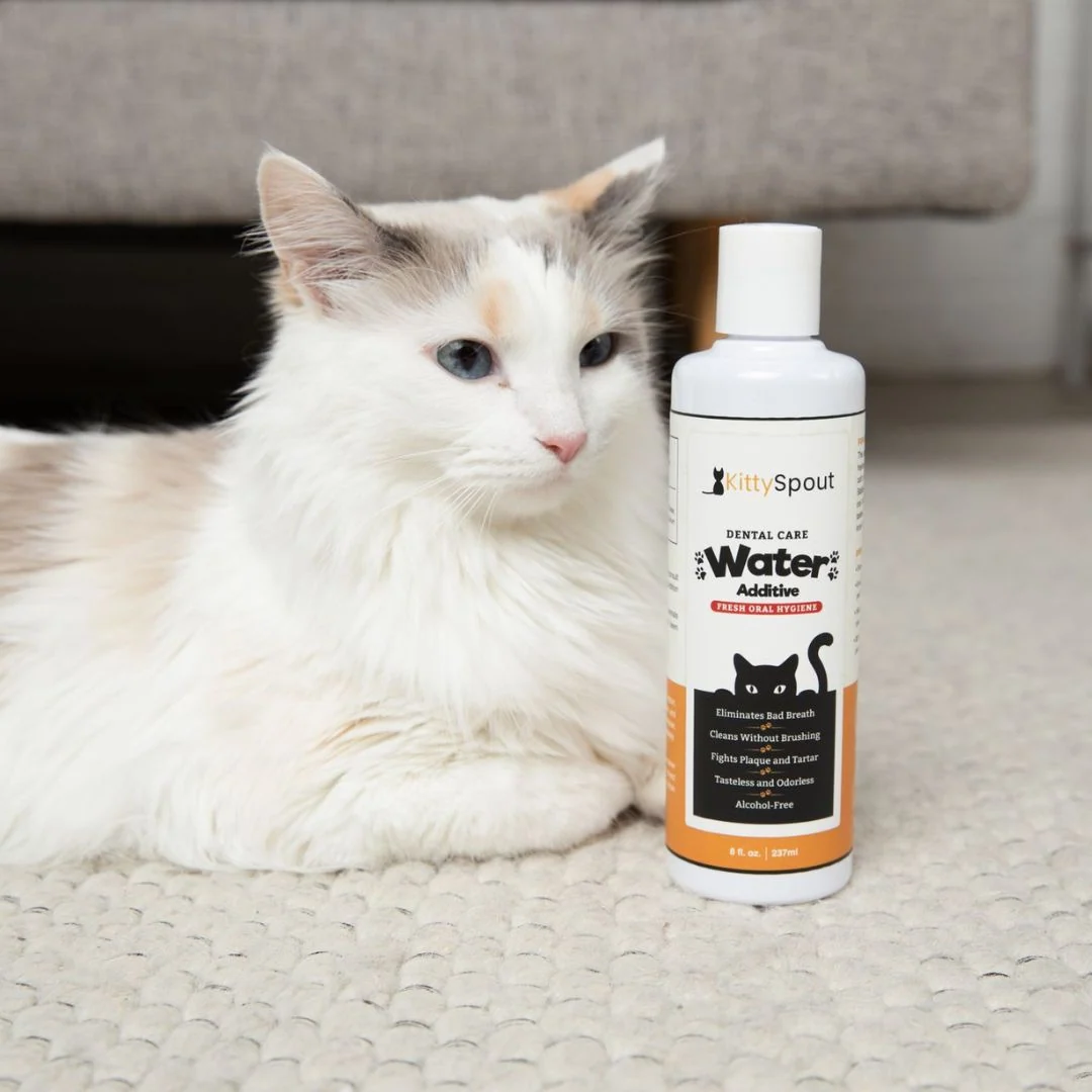 Dental Care Water Additive for the KittySpout Fountain