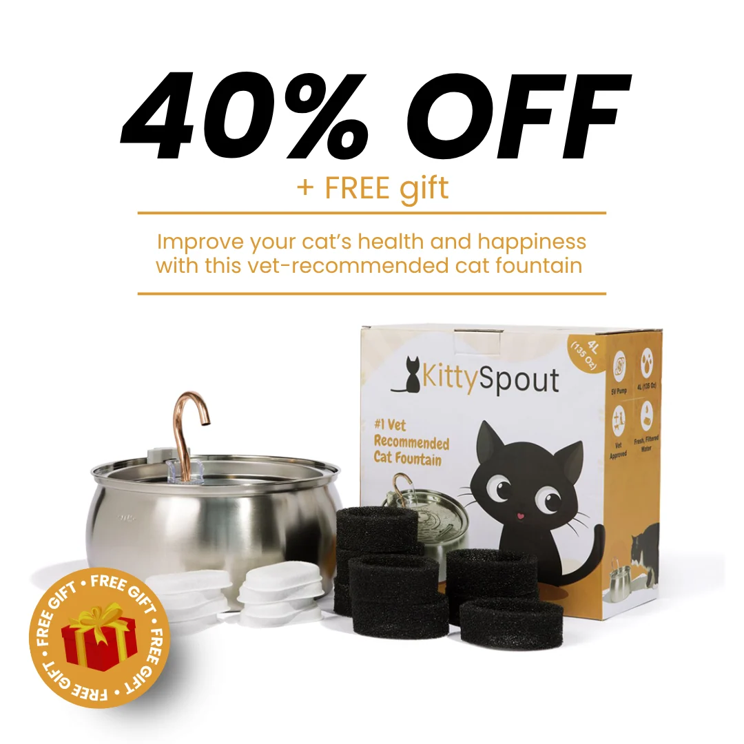 The KittySpout Health & Happiness Cat Kit Bundle for Happy Cats