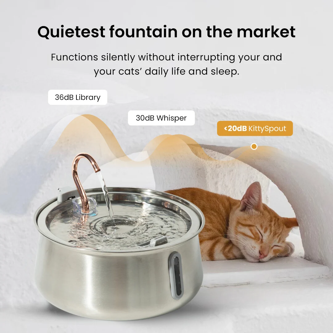 The KittySpout 2.0 Health & Happiness Cat Kit for Daily Care