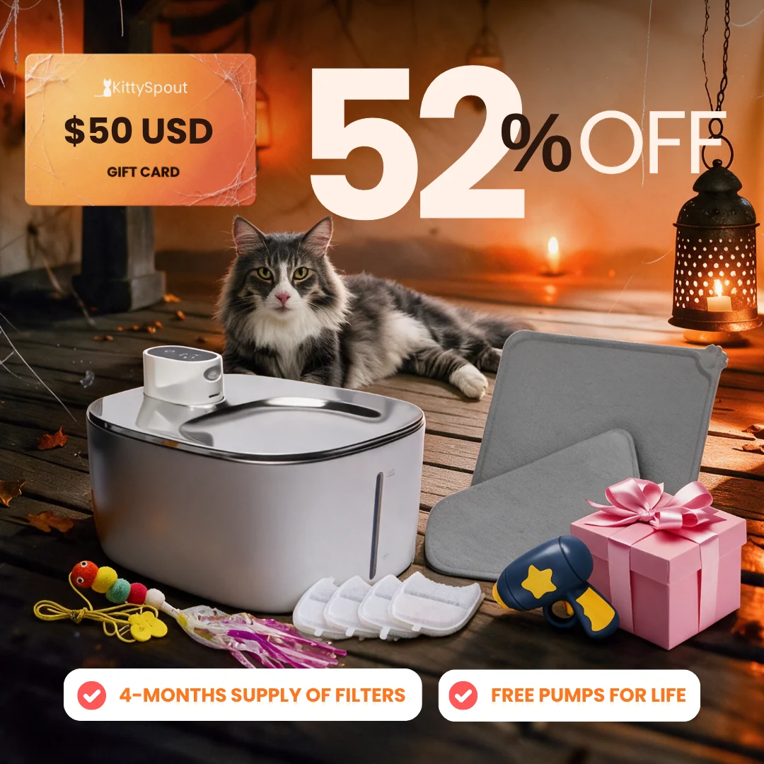 Bundle convenienza KittySpout: il nostro bundle per gatti più conveniente