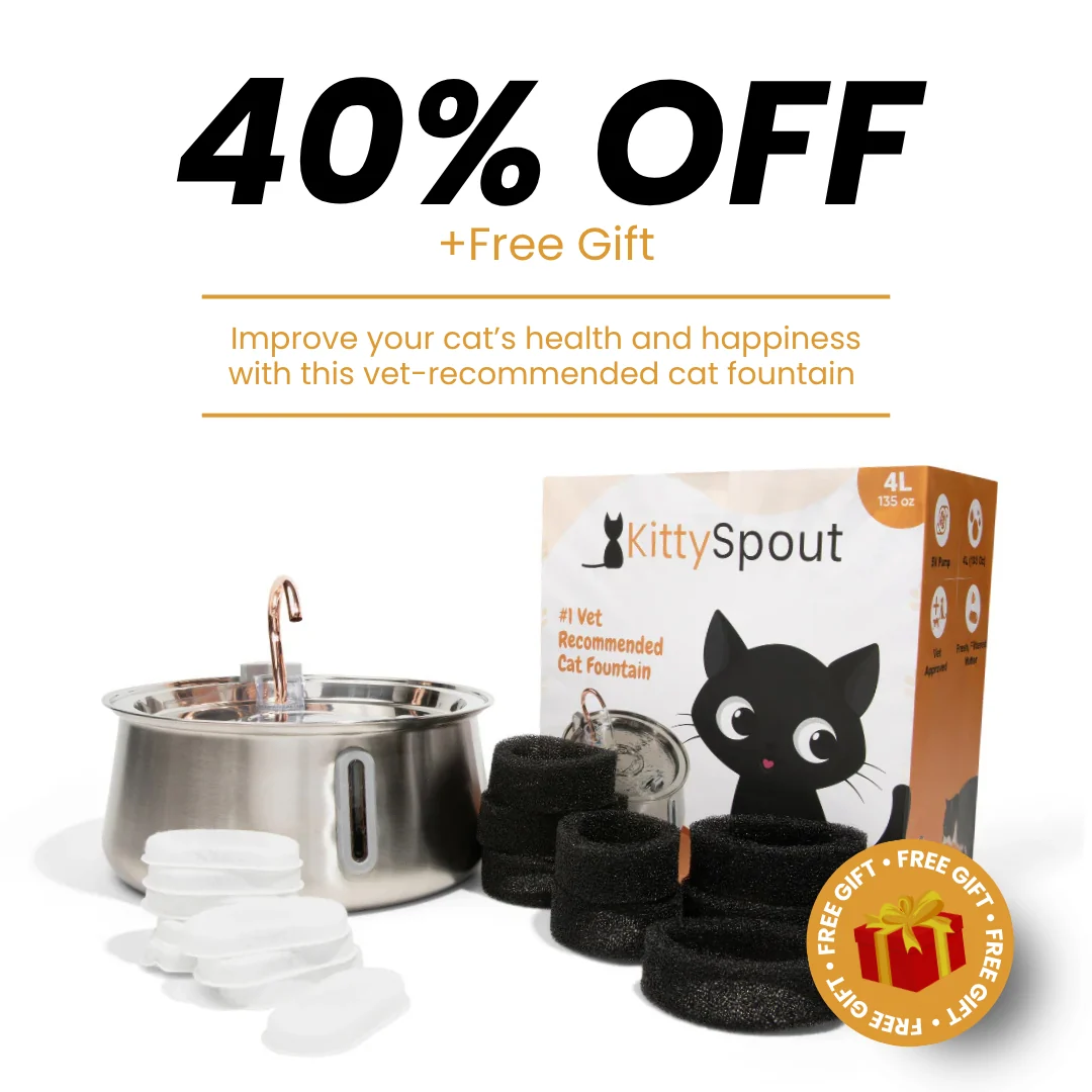 Health & Happiness Cat Kit from KittySpout