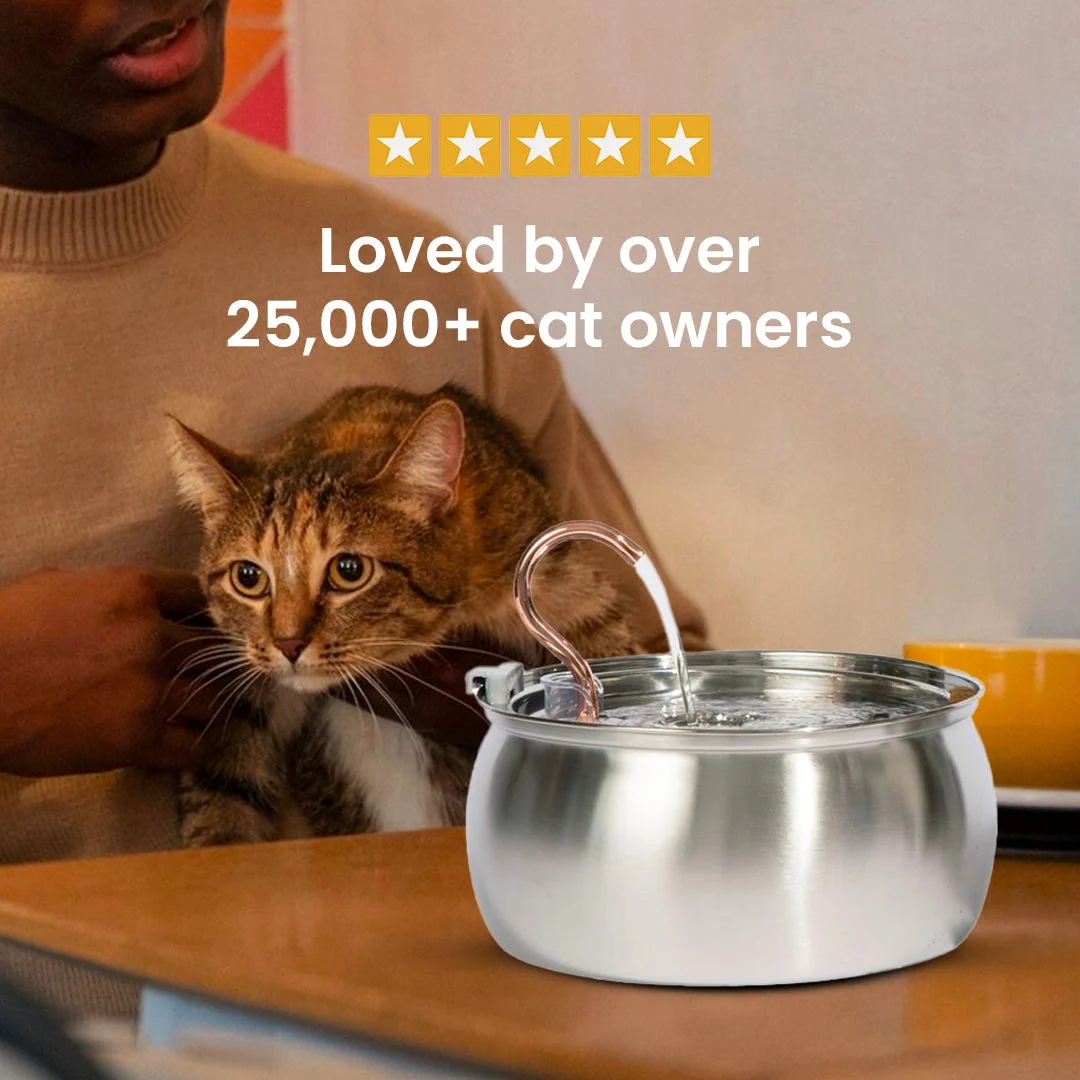Purrrfect KittySpout Kit for Health and Happiness