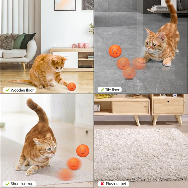 Bundle convenienza idratazione e gioco per gatti