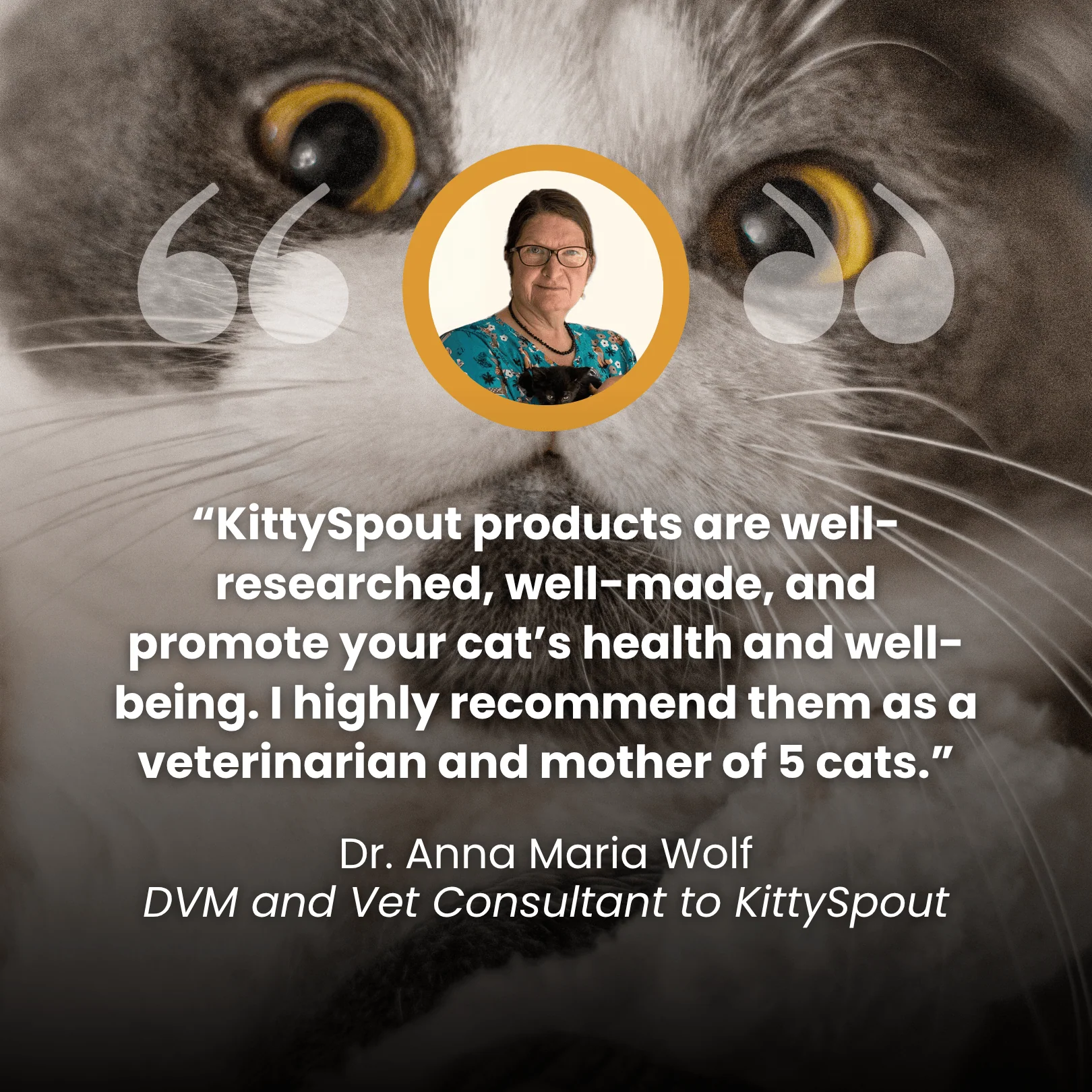 KittySpout Health & Happiness Cat Kit Bundle