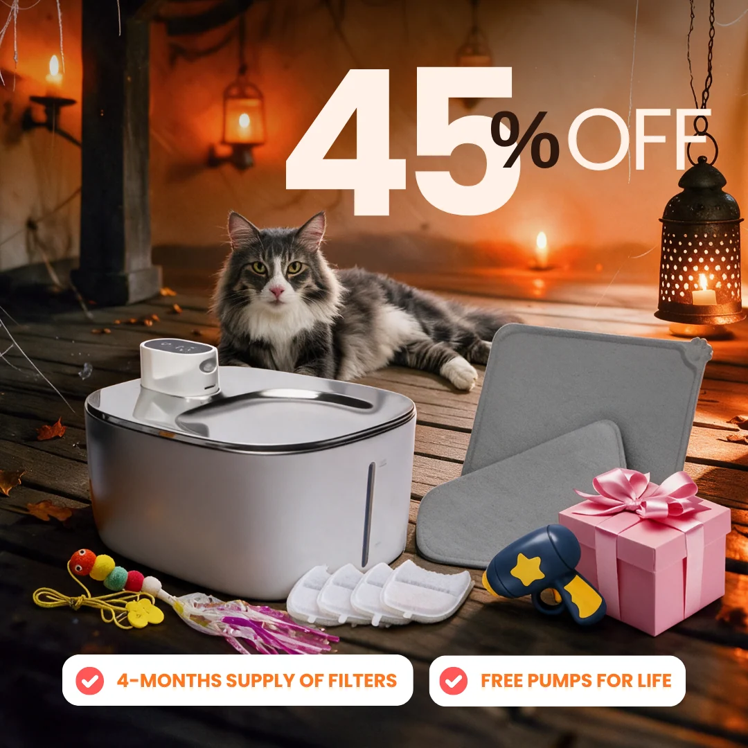 Purrrfect KittySpout Kit for Health and Happiness