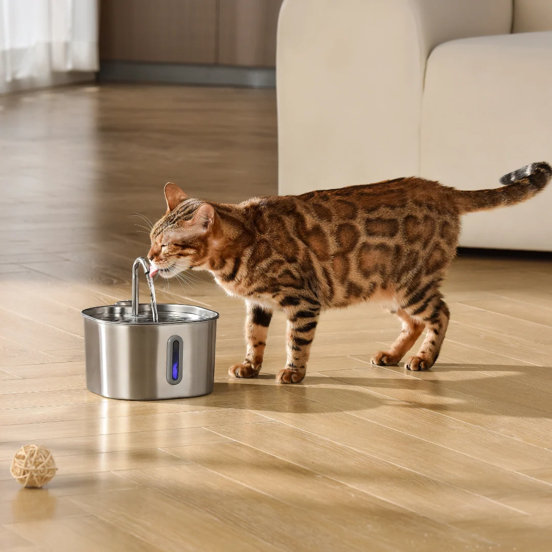 The KittySpout™ - 2.2L Fountain