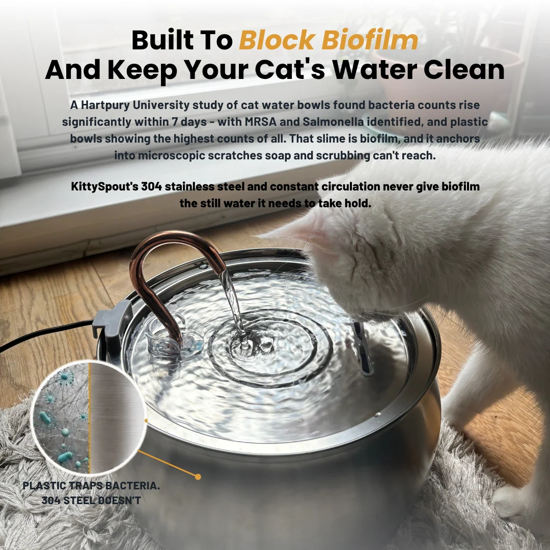 The KittySpout Health and Happiness Cat Kit Bundle