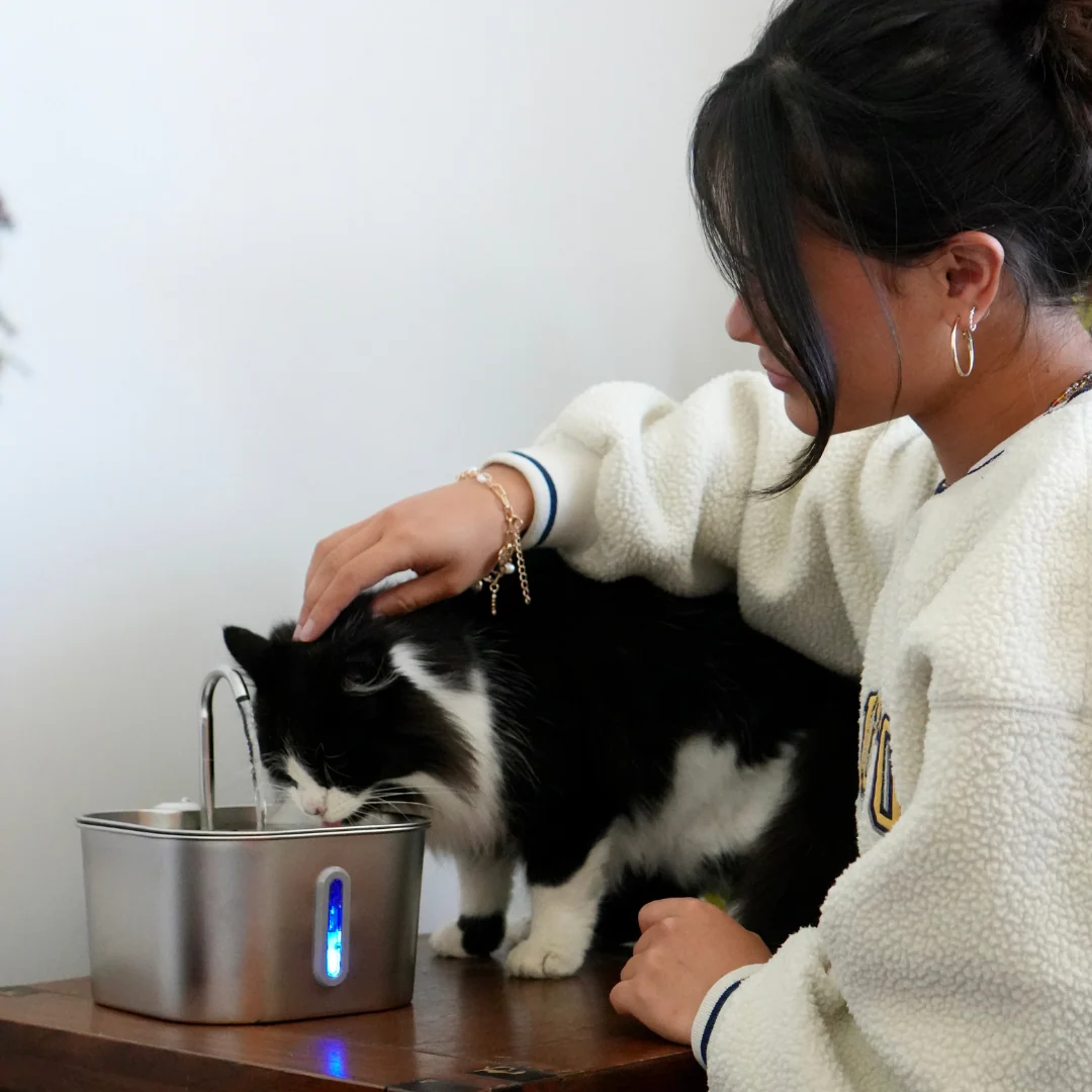 The KittySpout™ - 2.2L Fountain 2–month Kit