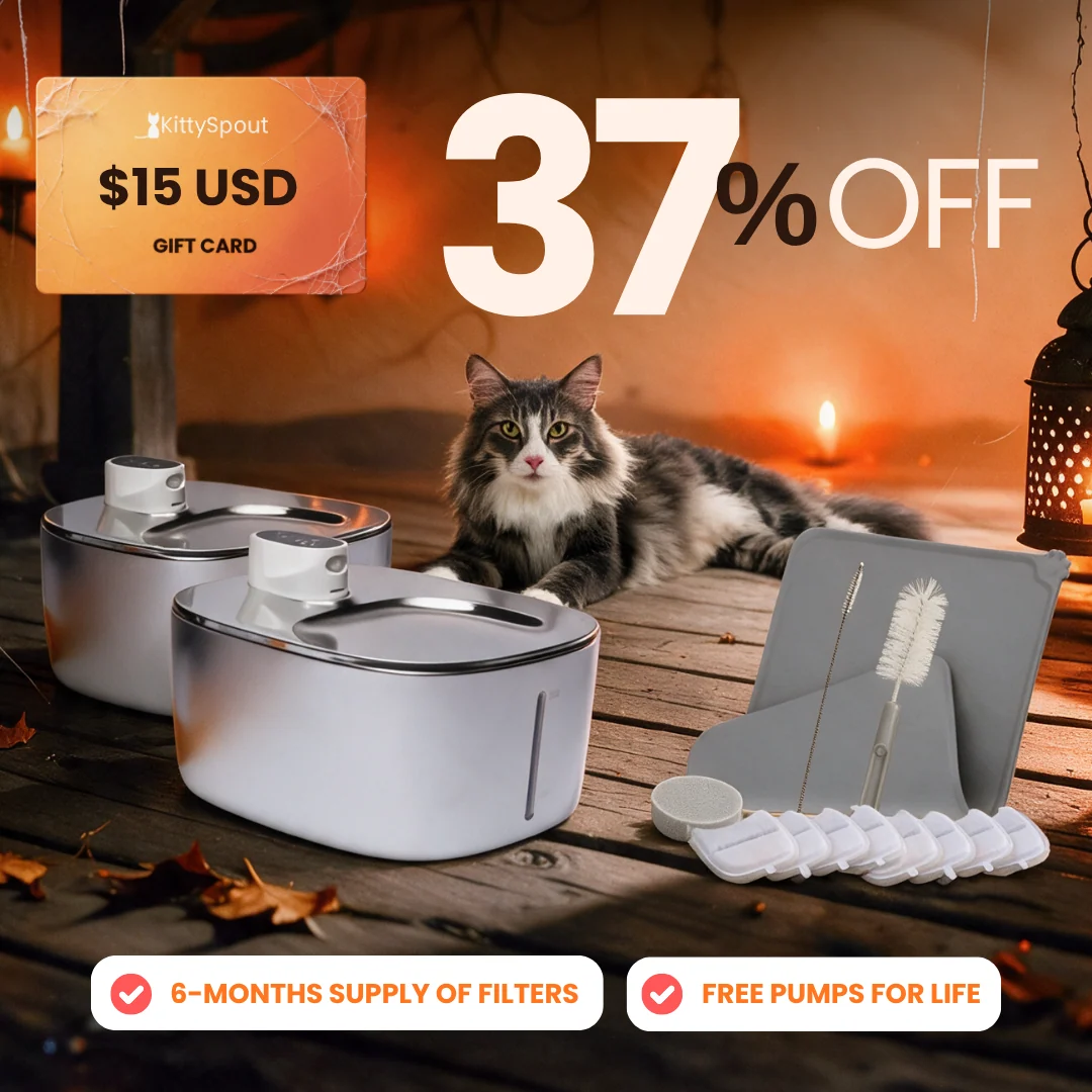 Big Cat Family Bundle: Health and Happiness Kit for Multi-Cat Homes