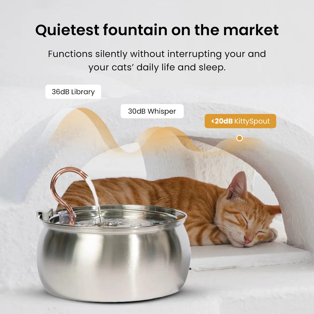 Purrrfect KittySpout Kit for Health and Happiness