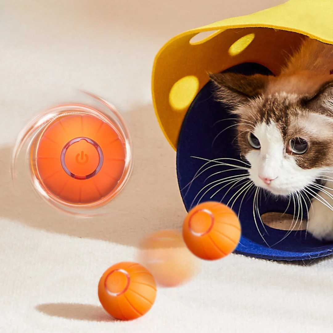 The KittyBall™ Smart Cat Ball for Playtime