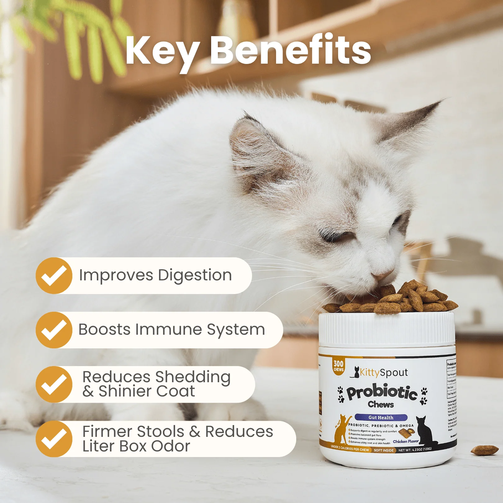 Probiotic Chews for Cats in a Soft Treat Format