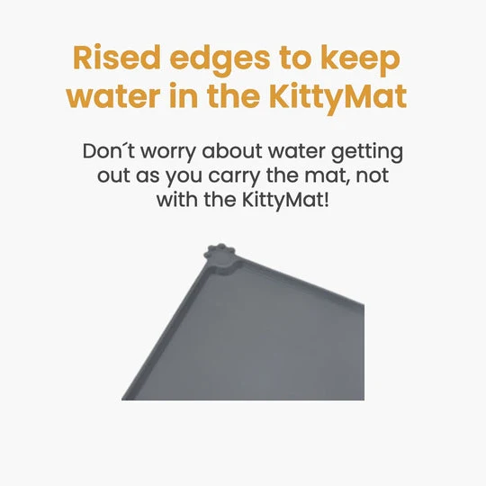 Purrrfect KittySpout Kit for Health and Happiness