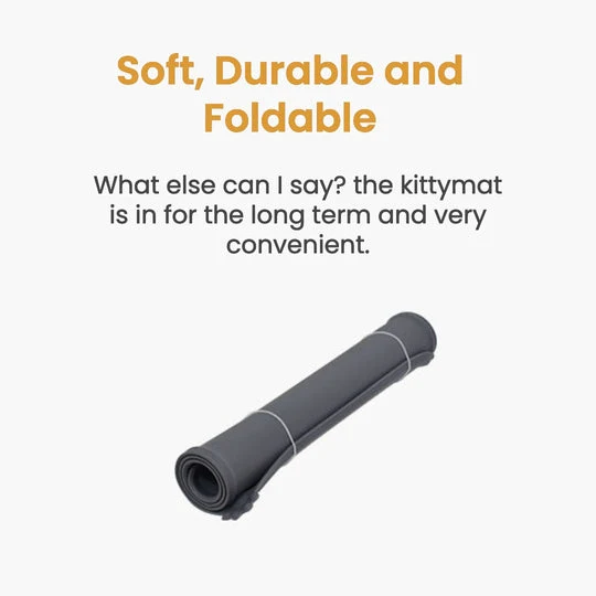 Purrrfect KittySpout Kit for Health and Happiness