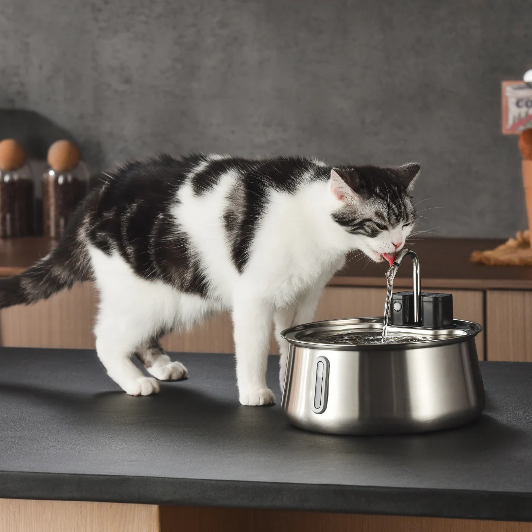 KittySpout Wireless Fountain 2.0 Two-Month Supply Kit