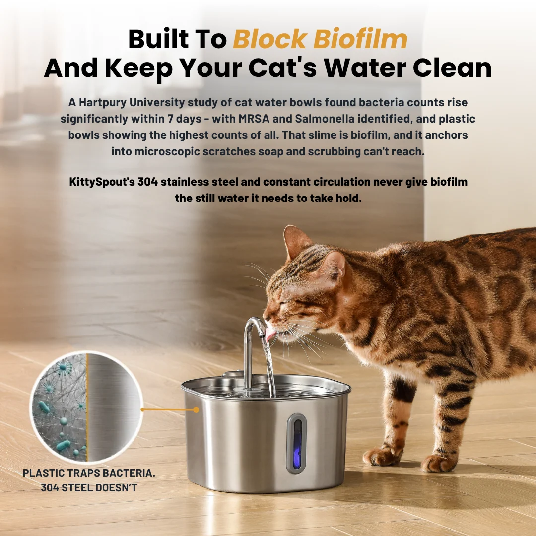 The KittySpout™ - 2.2L Fountain 2–month Kit