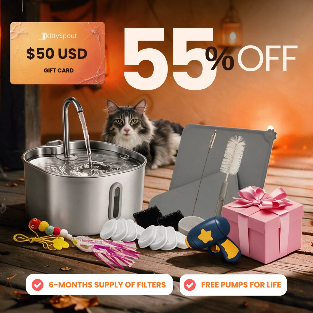 KittySpout Value Bundle: Our Most Value Packed Cat Bundle